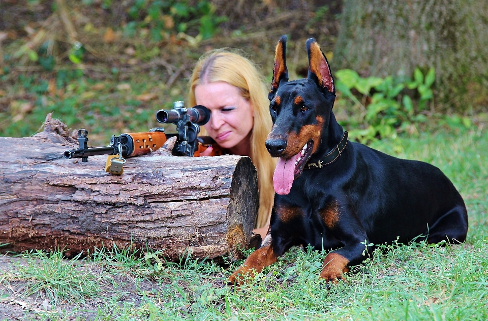 Femme chien mammifère arme