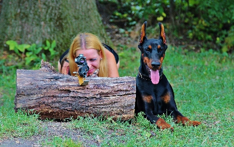 Foto Donna cane mammifero arma