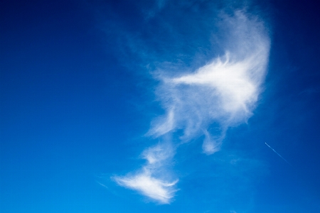 Photo Aile nuage ciel blanc