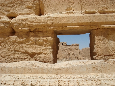 Sand rock wood desert Photo