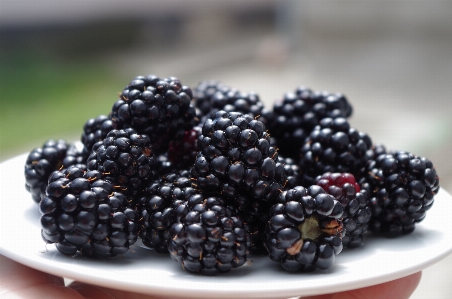 Plant fruit berry meal Photo