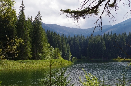 Landscape tree water nature Photo