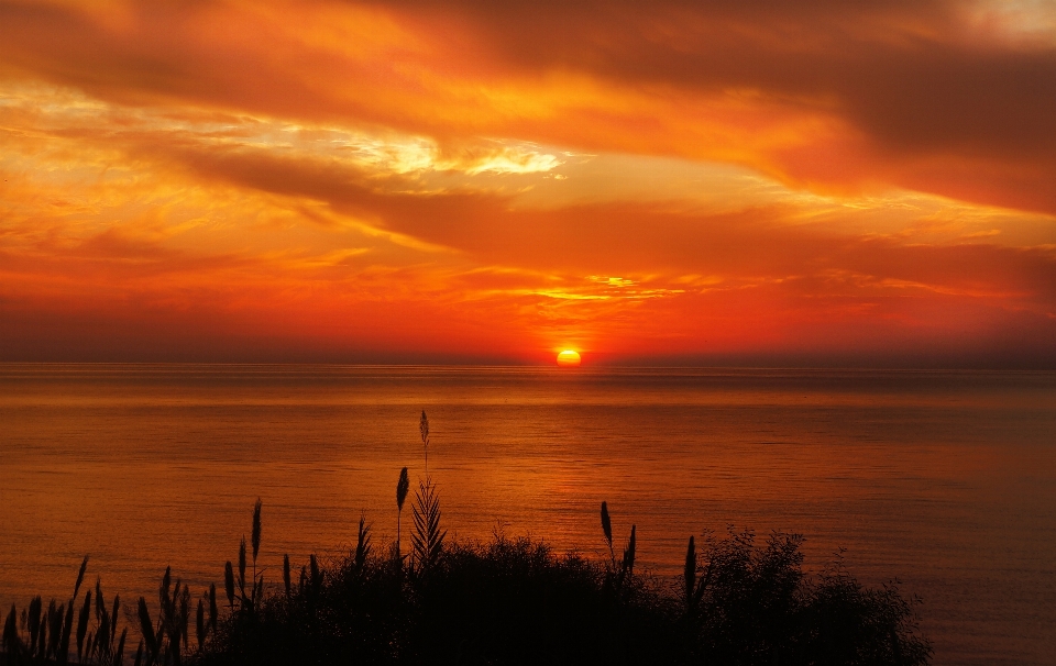 Beach landscape sea ocean