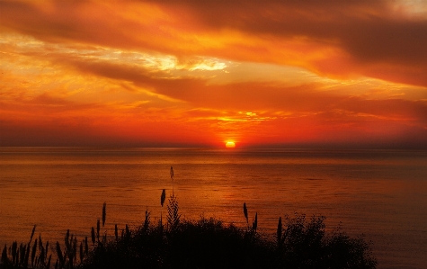 Beach landscape sea ocean Photo