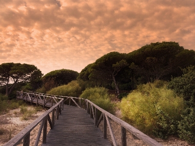 Beach landscape sea coast Photo