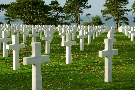 Photo Cimetière grave la normandie
 jour j
