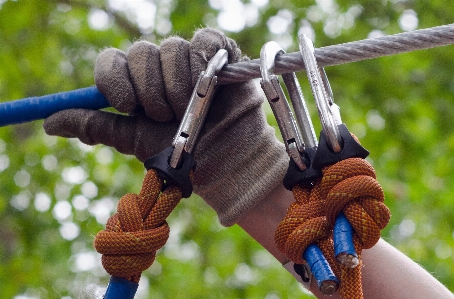 Hand nature person people Photo