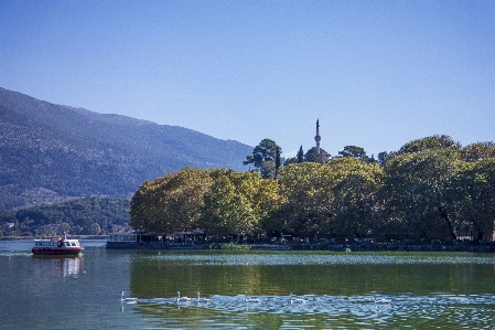 Sea tree water mountain Photo