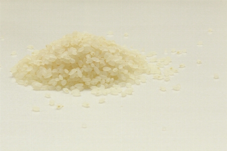 Food powder rice material Photo