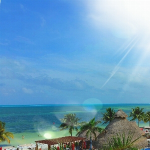 Beach sea coast ocean Photo