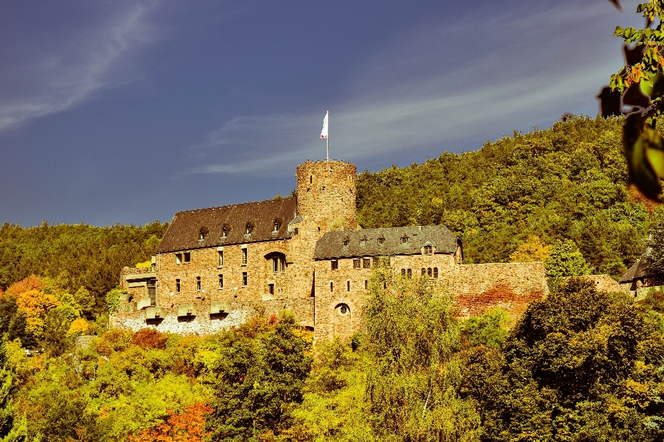 Paesaggio fiore edificio chateau
