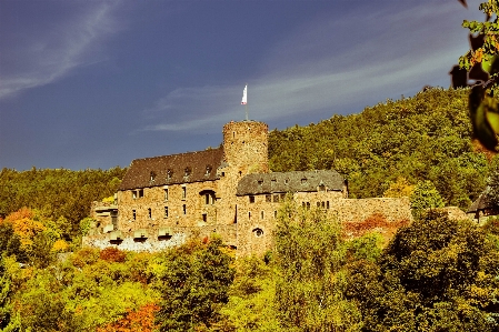 Landscape flower building chateau Photo