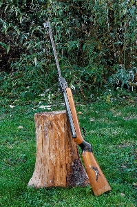 Foto Prato attrezzo arma pistola