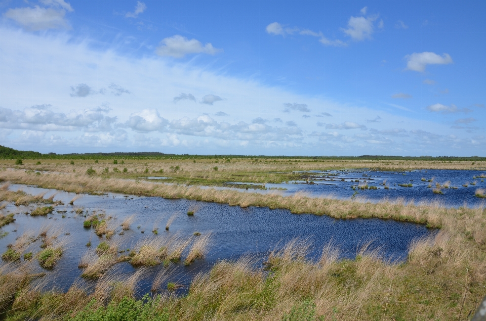 Paysage mer eau nature