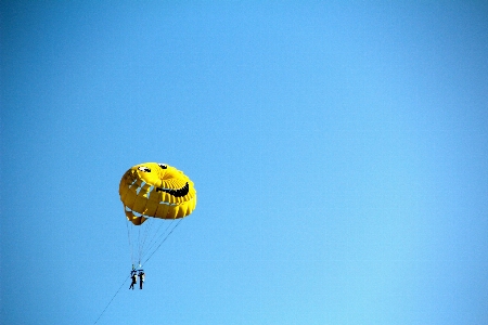 Sky fly sailing blue Photo