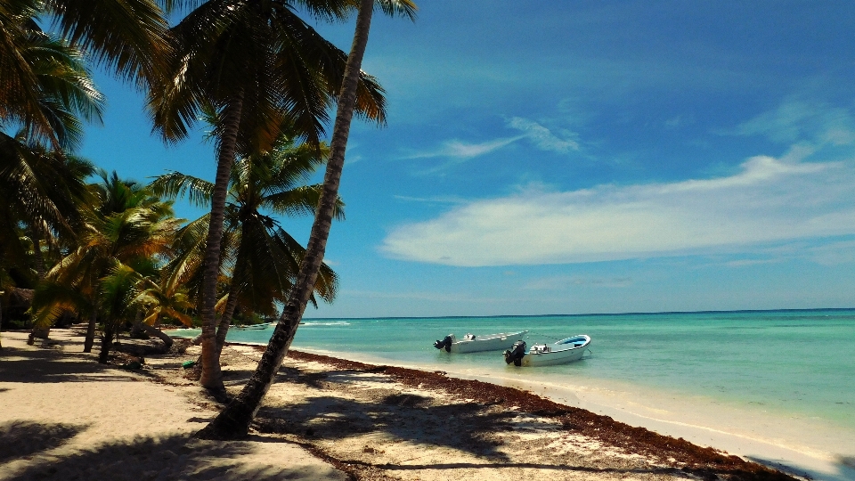 Beach sea coast water