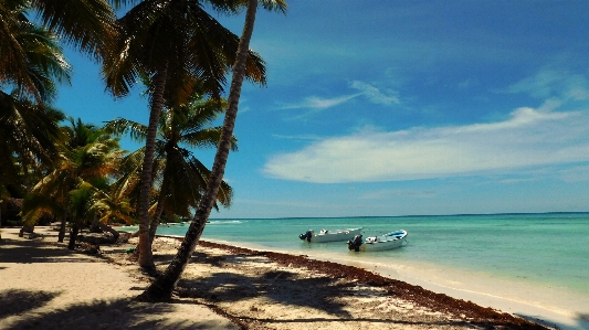 Beach sea coast water Photo