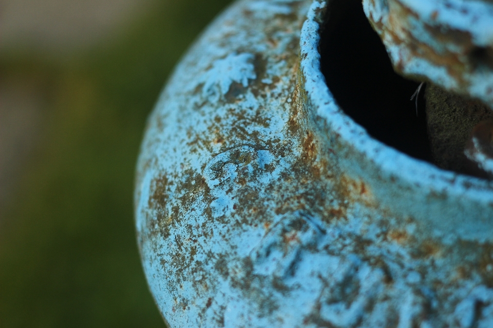 Wasser natur tropfen fotografie