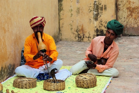 Foto Musica tempio serpente india