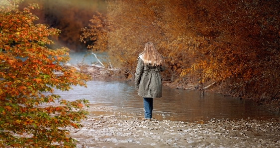 Tree nature forest person Photo