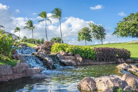 風景 水 自然 滝 写真