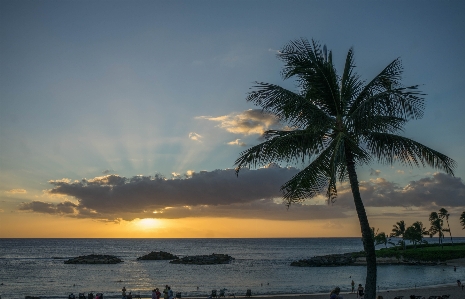 Beach landscape sea coast Photo