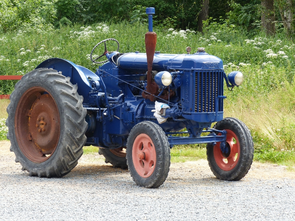 自然 草 車 トラクター