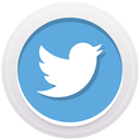 Twitter logo Icon