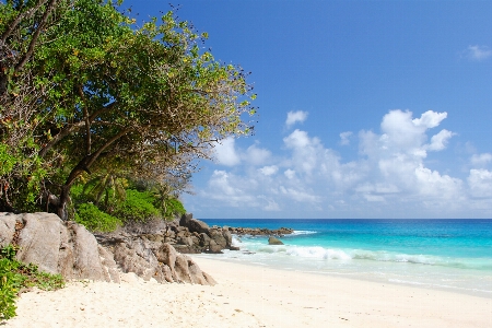 Beach sea coast sand Photo