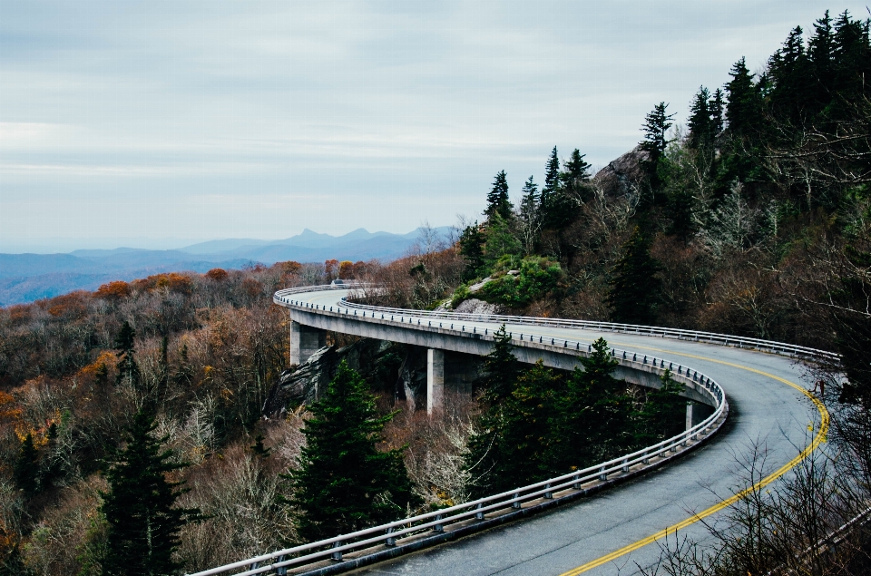 풍경 집 밖의 산 길