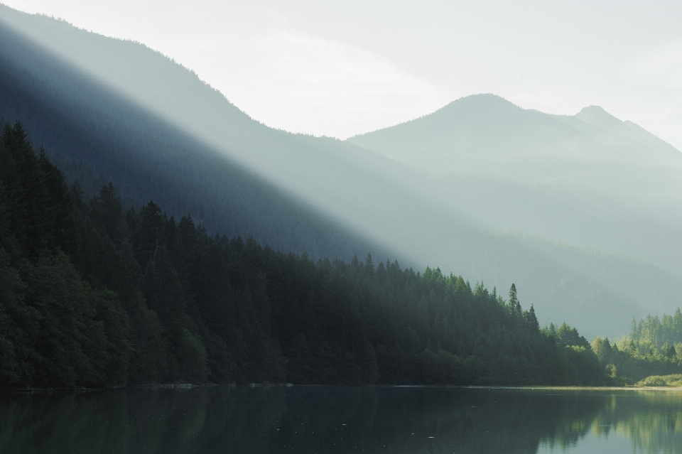 Landscape water nature forest