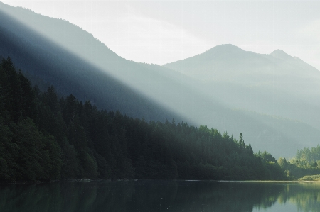 Landscape water nature forest Photo