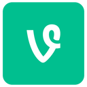 Vine logo Icon