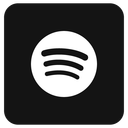 Spotify logo Icon