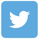 Twitter logo Icon