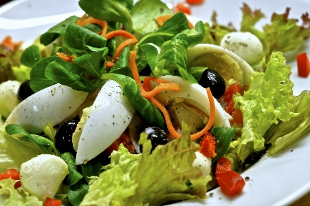 Dish food salad produce Photo