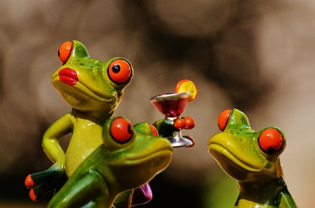 Cute green frog amphibian Photo