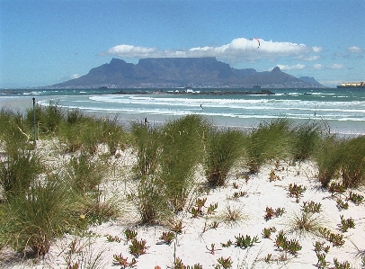 Beach sea coast sand Photo