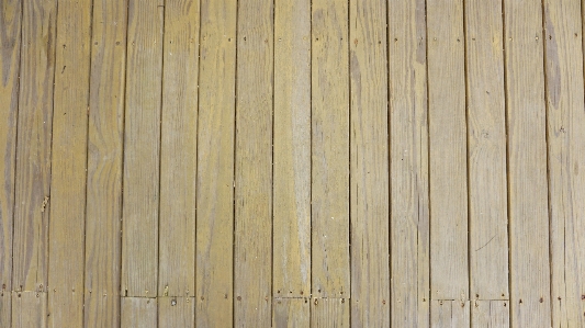 Tree wood texture plank Photo