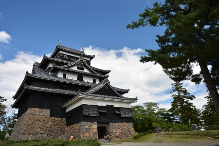 Building tower castle japan Photo