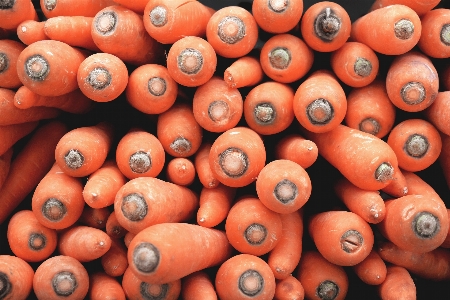 Plant orange food harvest Photo