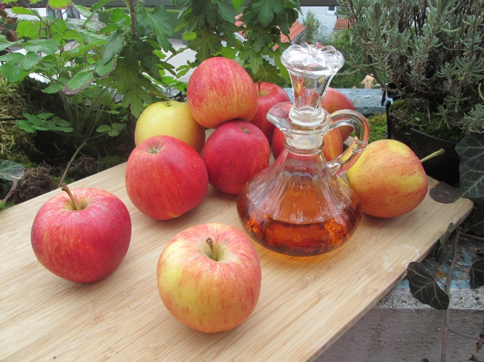 Apple 植物 水果 食物