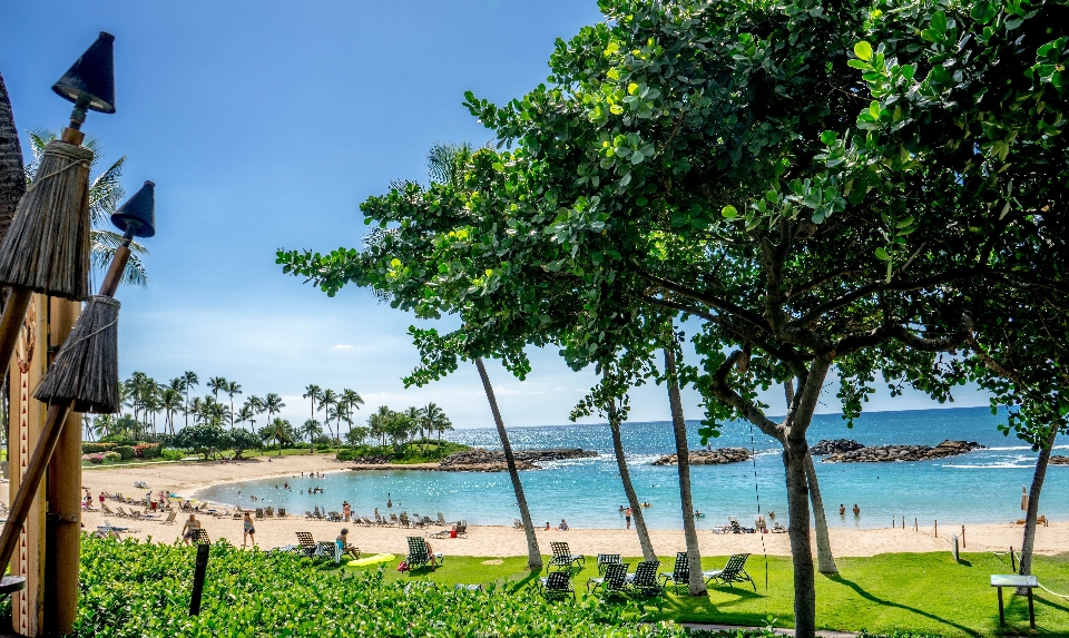 Beach landscape sea coast