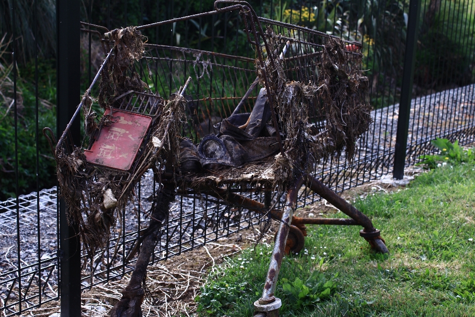 Albero legna ambiente ruggine