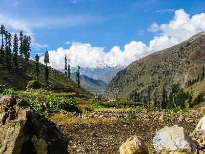 Landscape water nature forest Photo