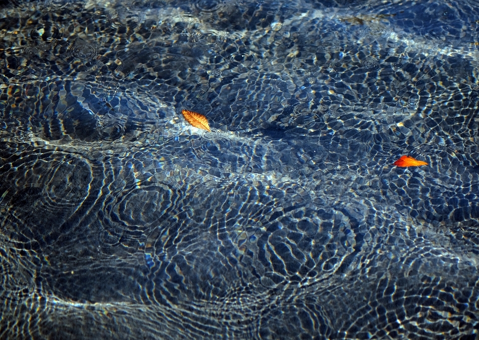 Mare acqua natura gocciolina