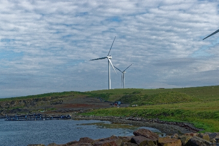 Landscape sea coast nature Photo