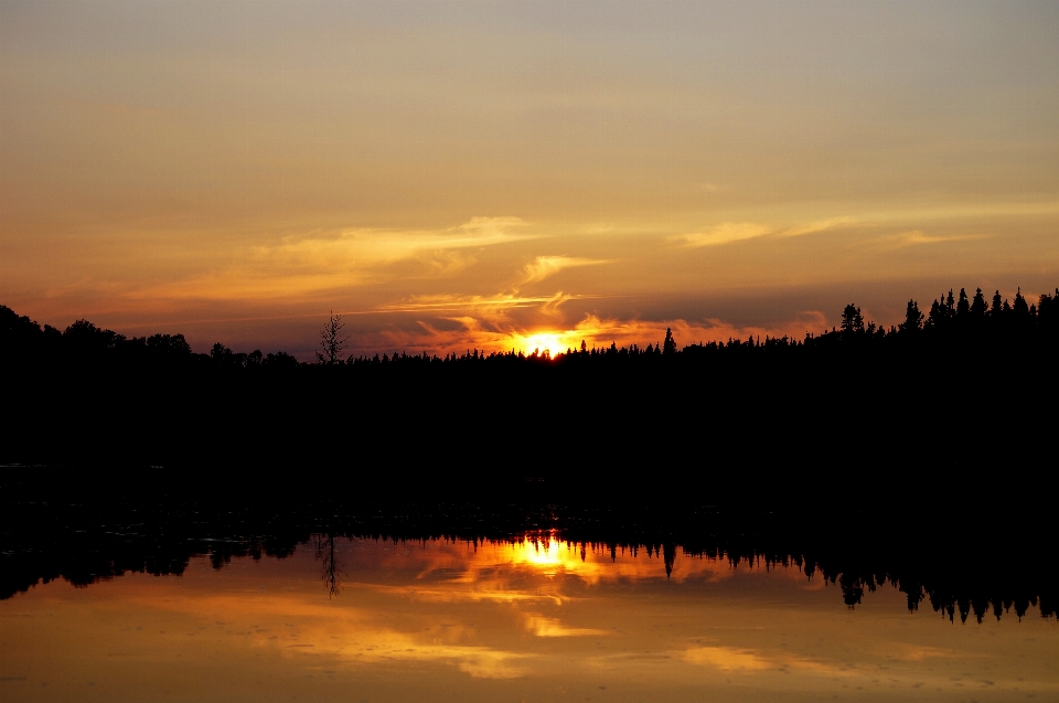 Landschaft wasser natur wald