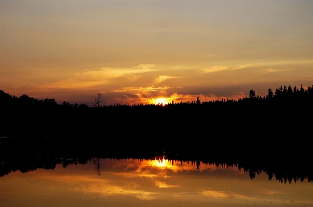 Landscape water nature forest Photo