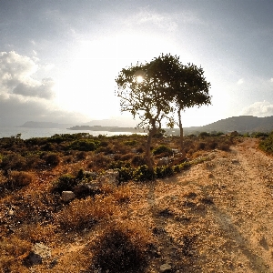 Landschaft meer baum natur Foto